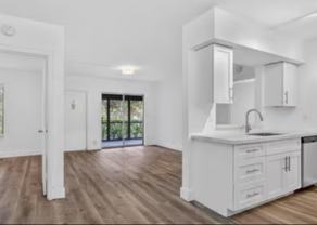6258 Chasewood Dr #C - Photo 1 of 1