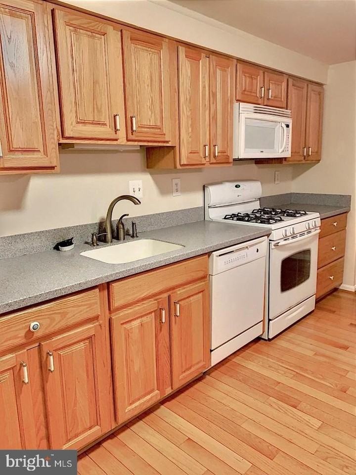 3100 Black Hickory Dr - Photo 3 of 19