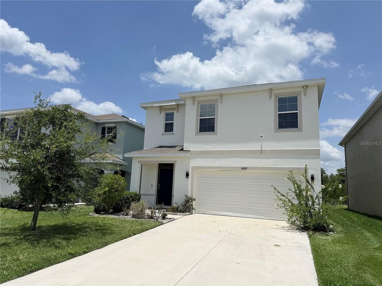 16091 Balboa Mist Cv