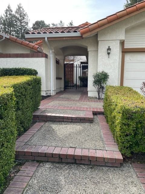 335 Live Oak Dr #NA - Photo 3 of 28