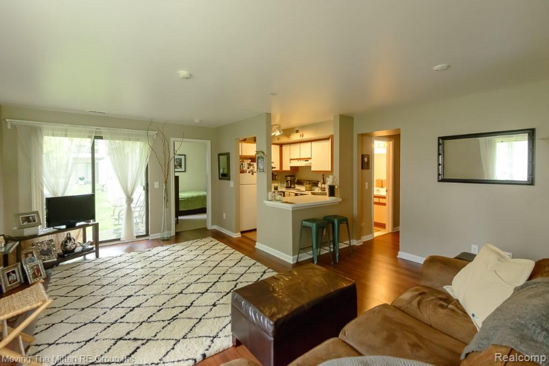 42551 Lilley Pointe Dr - Photo 6 of 23