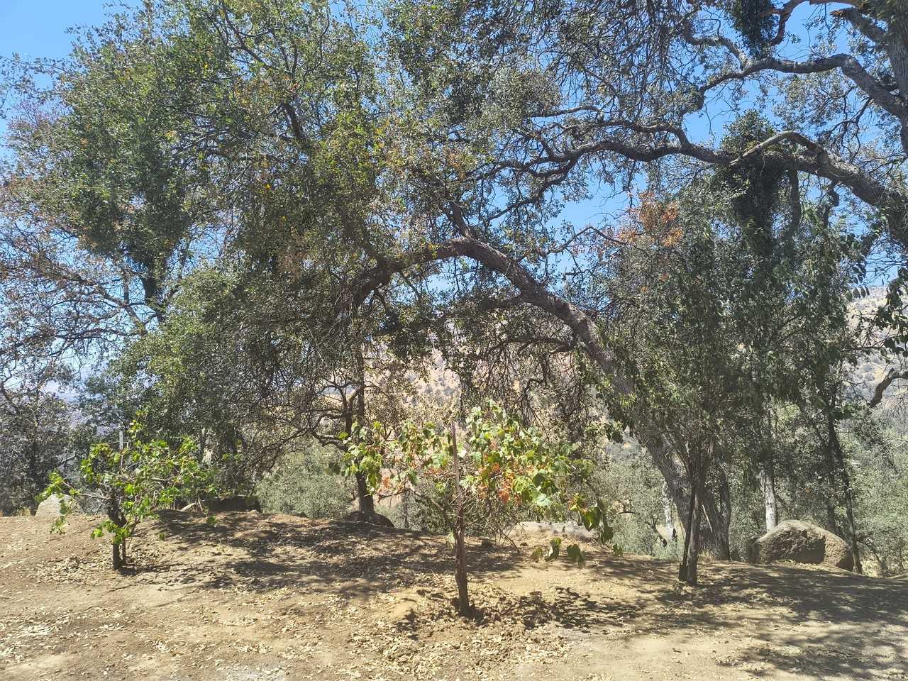 35468 E Kings Canyon Rd #B - Photo 3 of 4