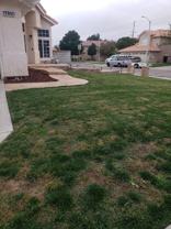 44351 Shad St - Photo 1 of 1