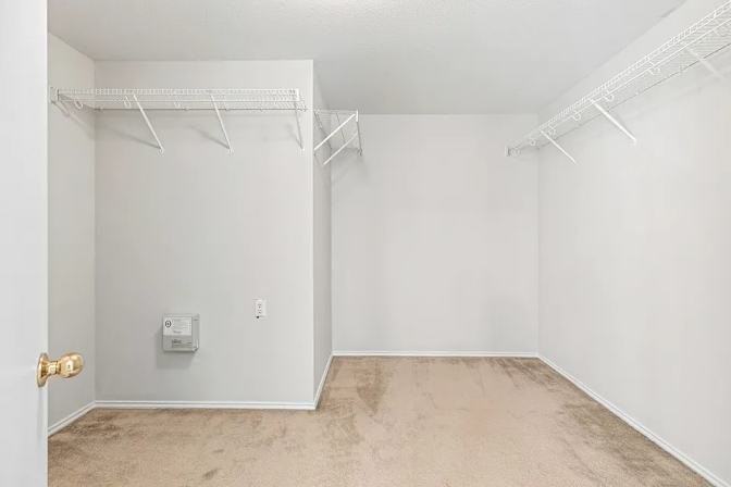 117 Willow Cv - Photo 3 of 8