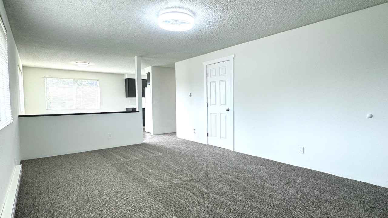 2405 Howard Ave #4 - Photo 3 of 21