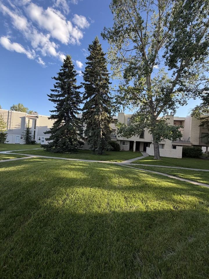 3500 Mclaren Village - Photo 4 of 19