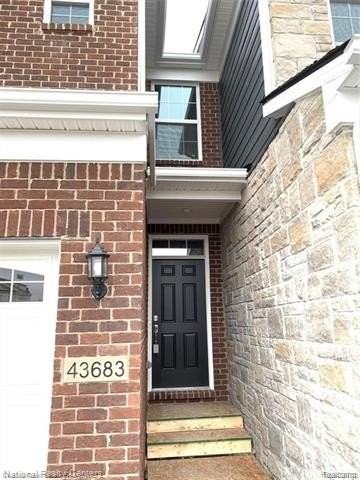 43683 Chancellor Ln - Photo 3 of 37