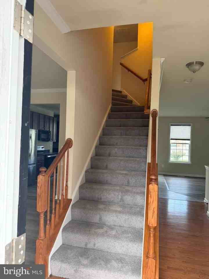 1231 Stallion St - Photo 2 of 39
