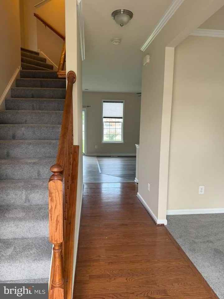 1231 Stallion St - Photo 3 of 39