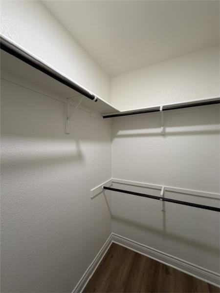 303 Live Oak - Photo 4 of 25