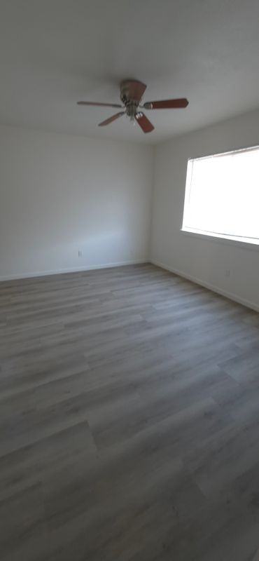 915 Almond Blossom Dr - Photo 2 of 14