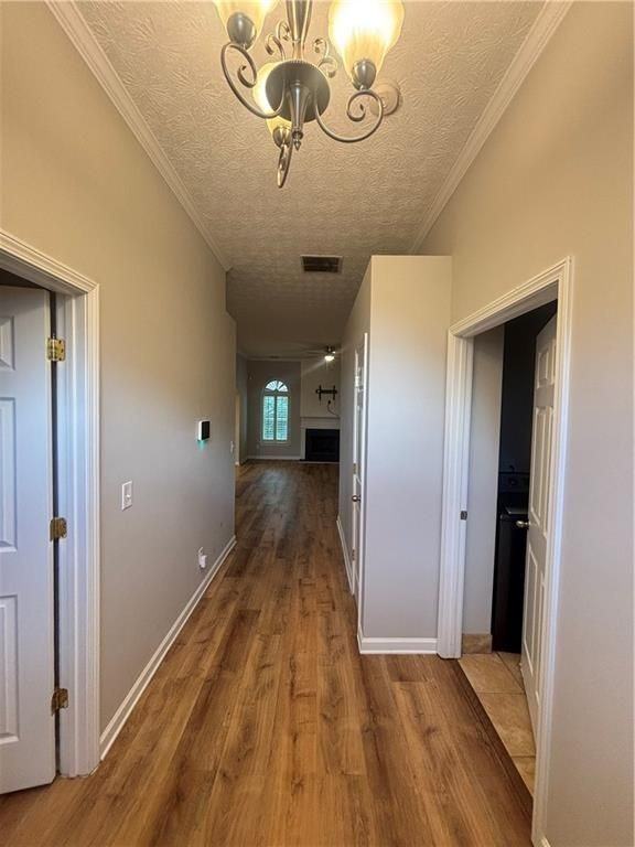 2909 Egret Ln - Photo 2 of 15