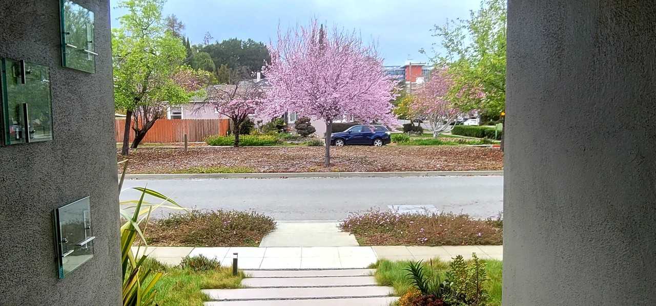 50 Hayward Ave - Photo 4 of 20