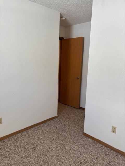 1180 Golden Dawn Cir #4 - Photo 6 of 16