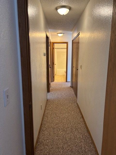1180 Golden Dawn Cir #4 - Photo 7 of 16
