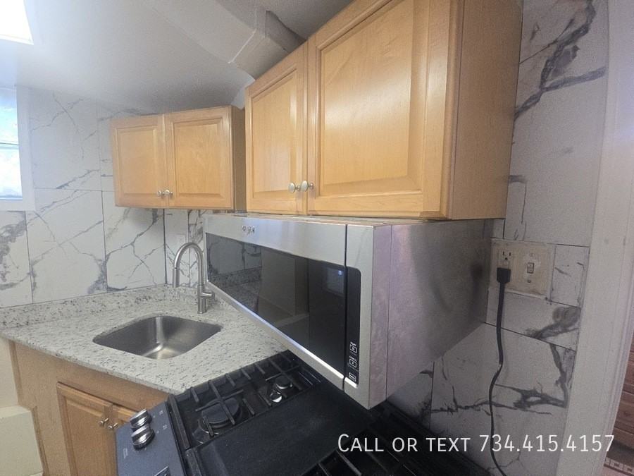 707 S Division St Apt 1 #B - Photo 4 of 38