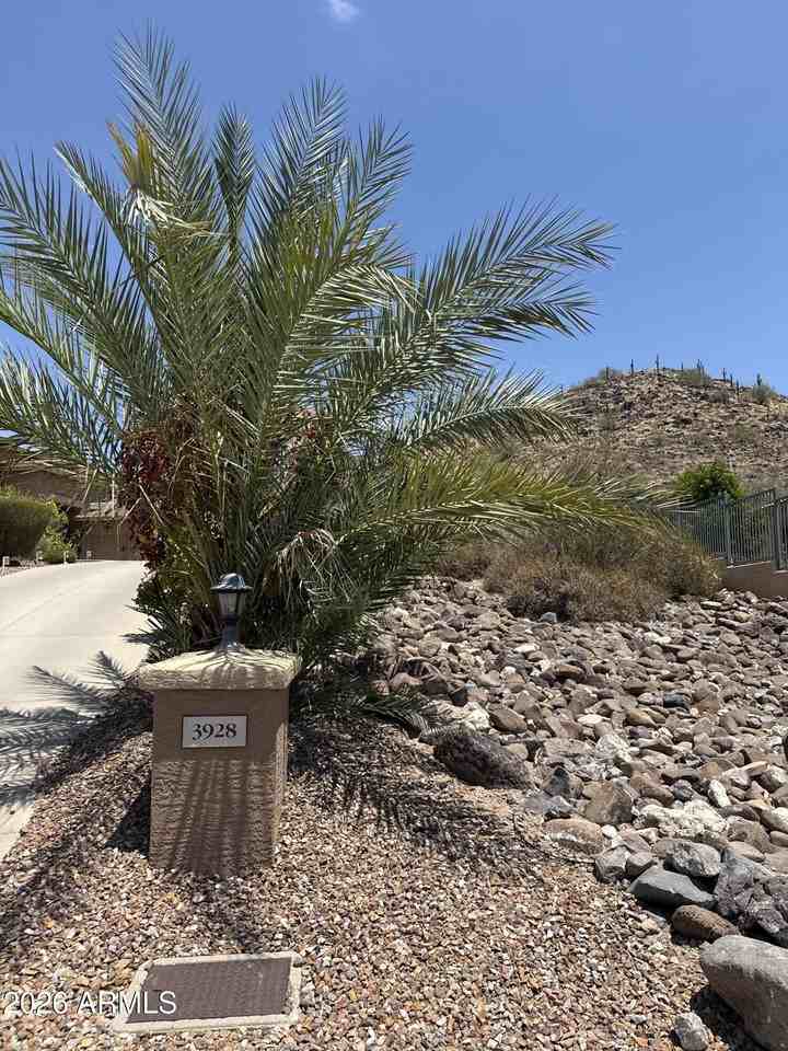 3928 W Range Mule Dr - Photo 4 of 33