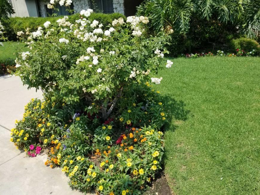 14413 Addison St - Photo 2 of 10