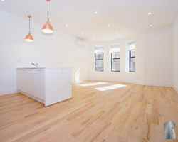 featured image of 1477 Pacific St
