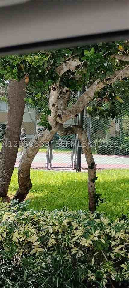 729 - Photo 6 of 18