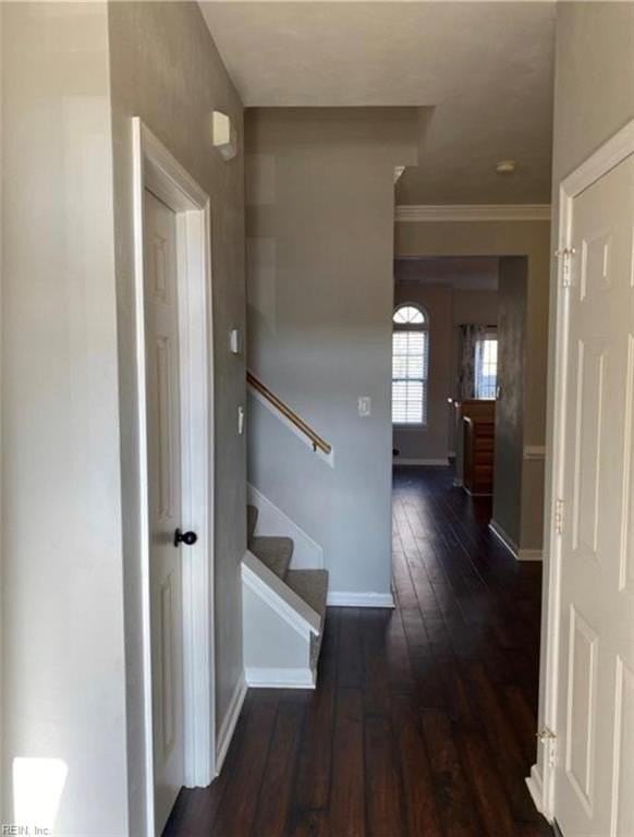 2029 Bizzone Cir - Photo 3 of 20