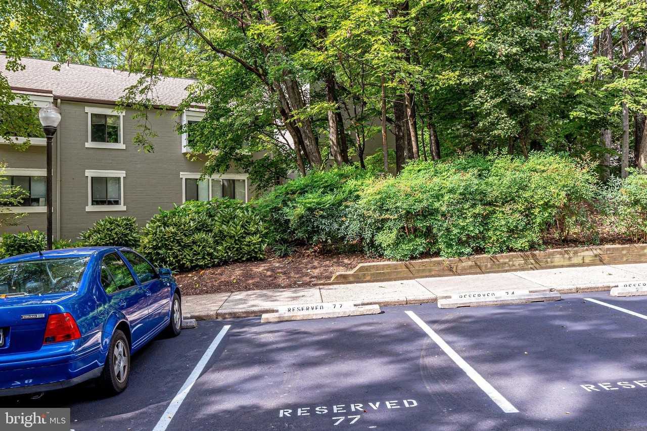 2210 Springwood Dr #207 - Photo 4 of 28