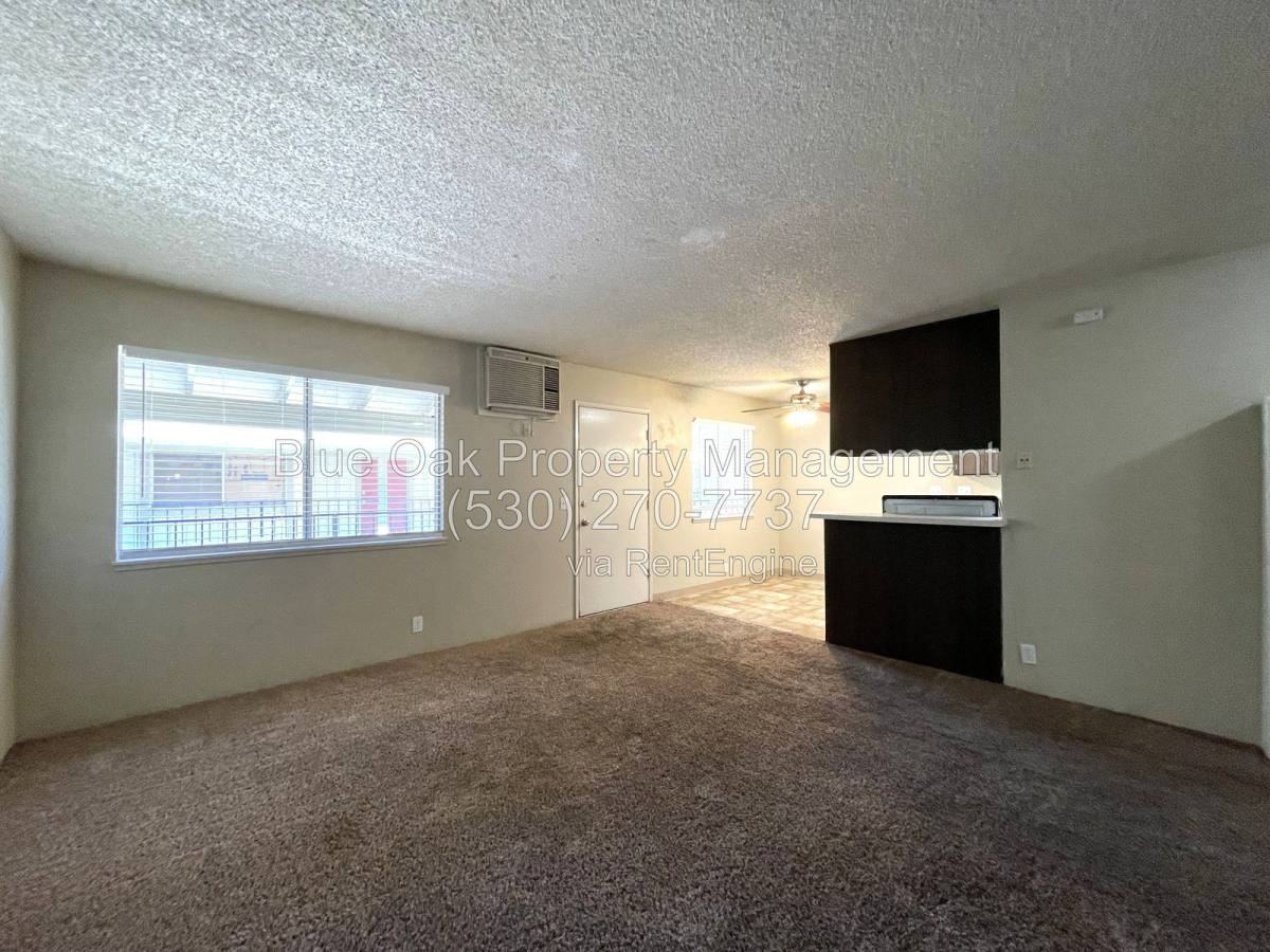 623 W 6th Ave #11 - Photo 3 of 10