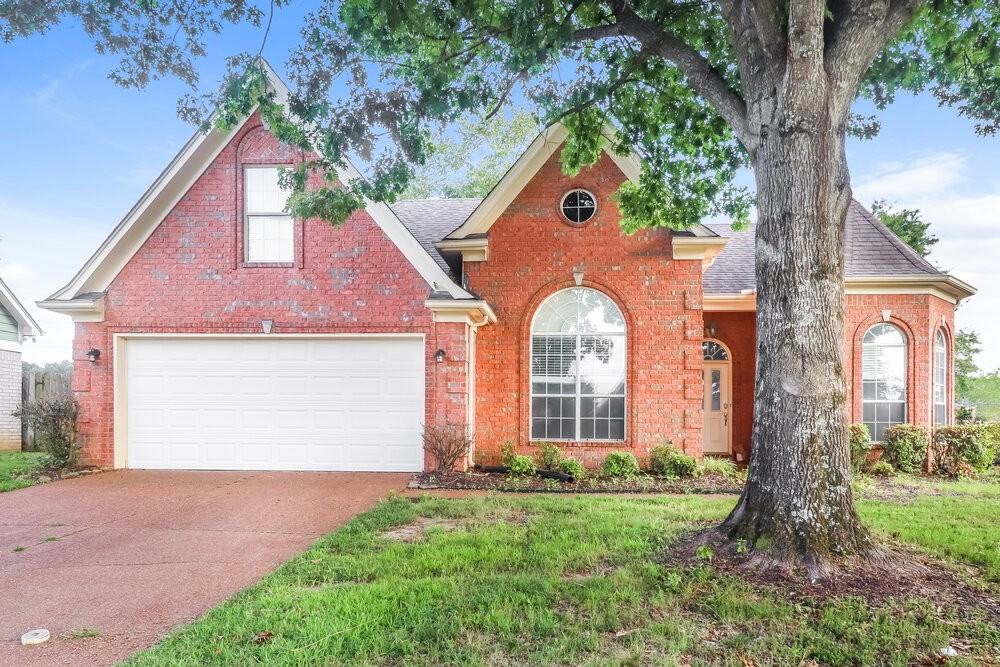 1058 Green Fern Cv