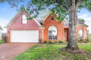 featured image of 1058 Green Fern Cv