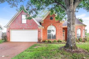 1058 Green Fern Cv - Photo 1 of 1