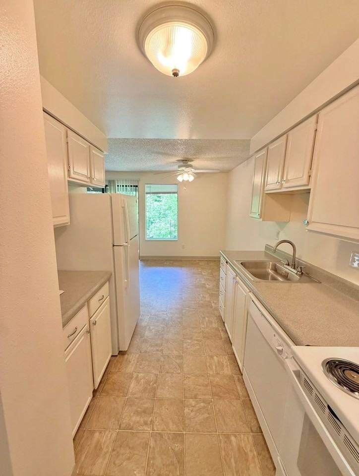 #130 HYDE PARK TERRACE - Photo 4 of 13