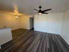 Brixton Luxury Apartments - Photo 1 of 1