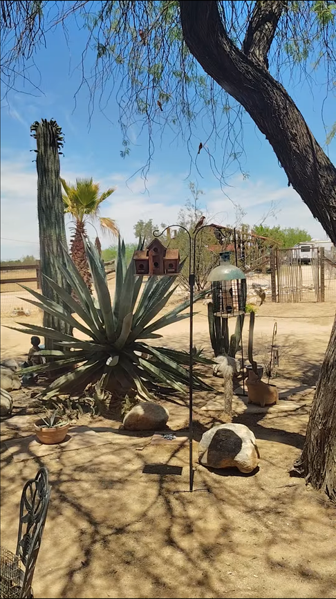 36991 S Estancia Dr - Photo 2 of 4