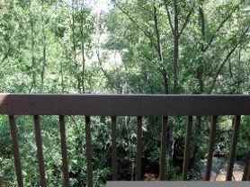 2932 Shadow Creek Dr - Photo 1 of 1