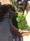 25761 Le Parc #26 - Photo 1 of 1
