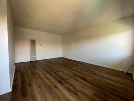 Spacious Studio - Photo 1 of 1