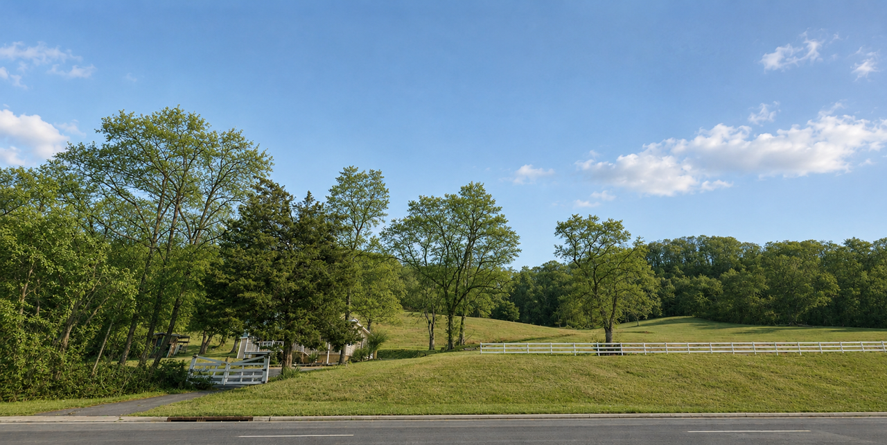 1447 Franklin Rd - Photo 3 of 13