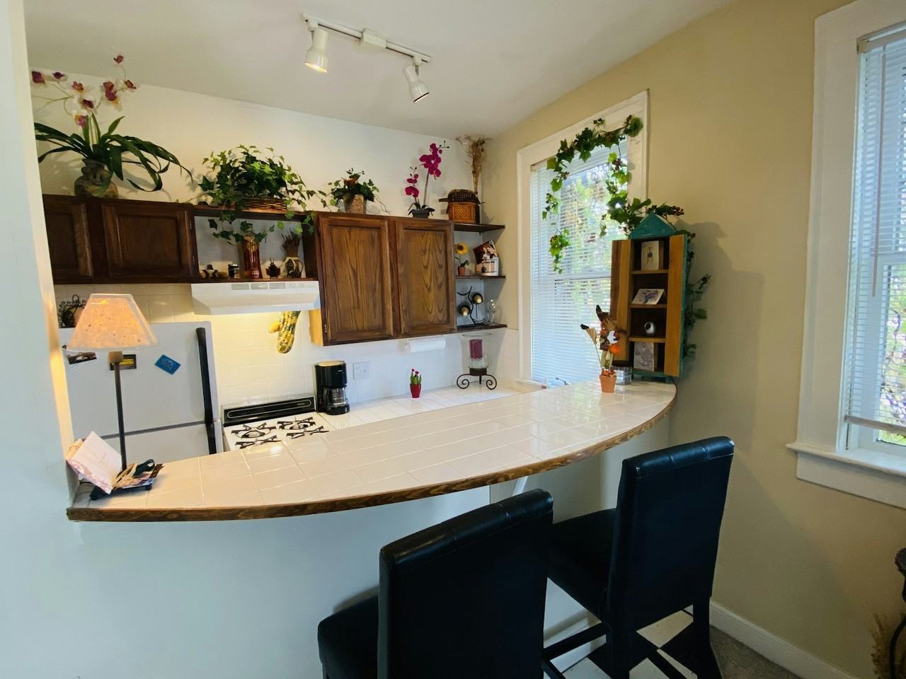 1244 North Illinois Street, Unit 102 - Photo 3 of 37
