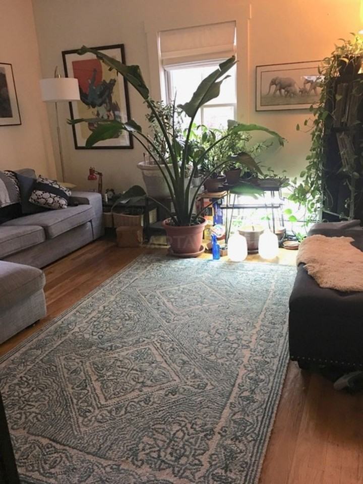 11 Cooney St #1 - Photo 3 of 7