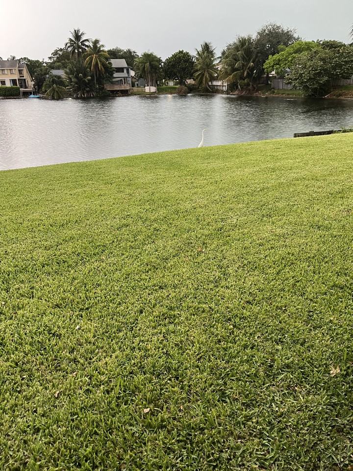 9416 Fern Hollow Way - Photo 2 of 3