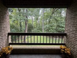 featured image of 23243 White Birch Ct #106