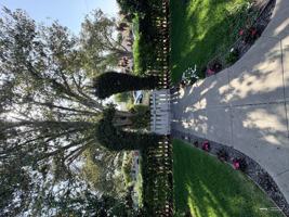 featured image of 516 S Van Ness Ave