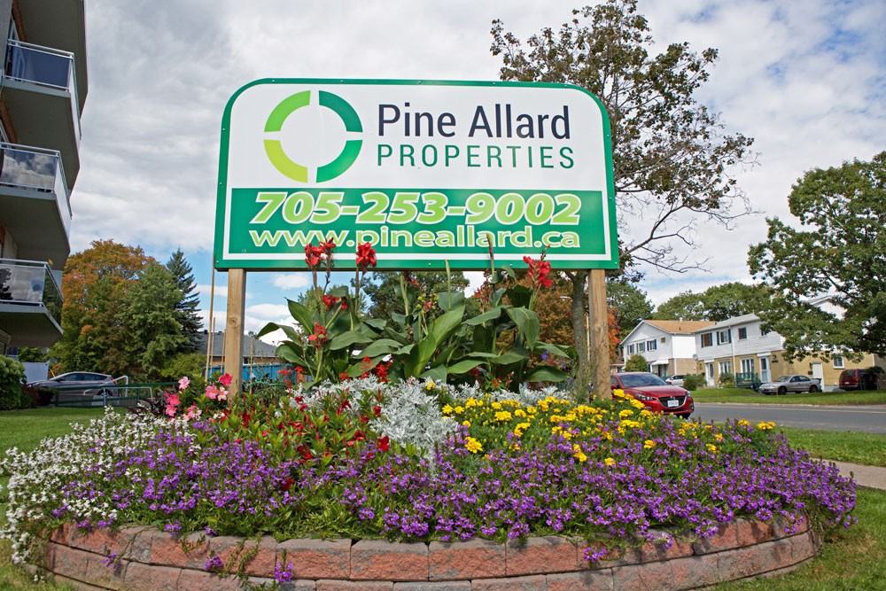 Pine Allard Properties - Photo 2 of 42