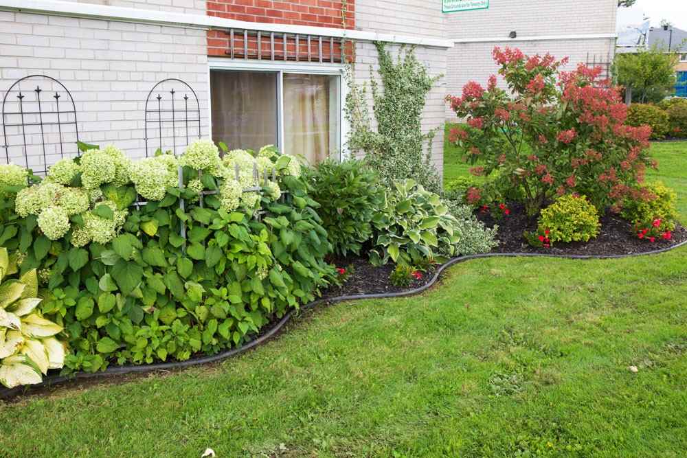 Pine Allard Properties - Photo 3 of 42