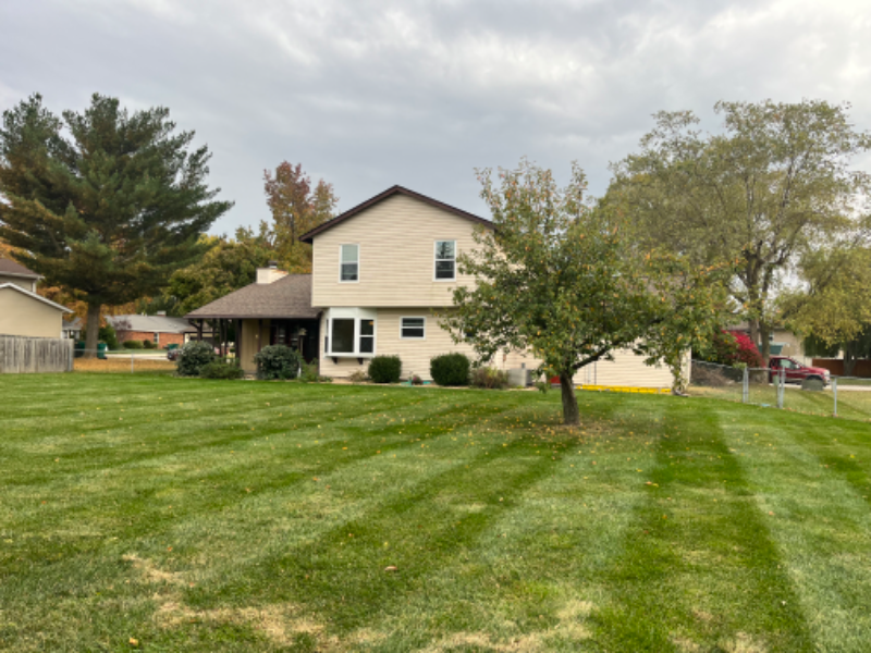 128 White Pine Ave - Photo 4 of 19