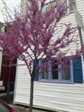 67 Gore St - Photo 1 of 1
