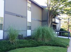 featured image of 6916 Bullet Blvd
