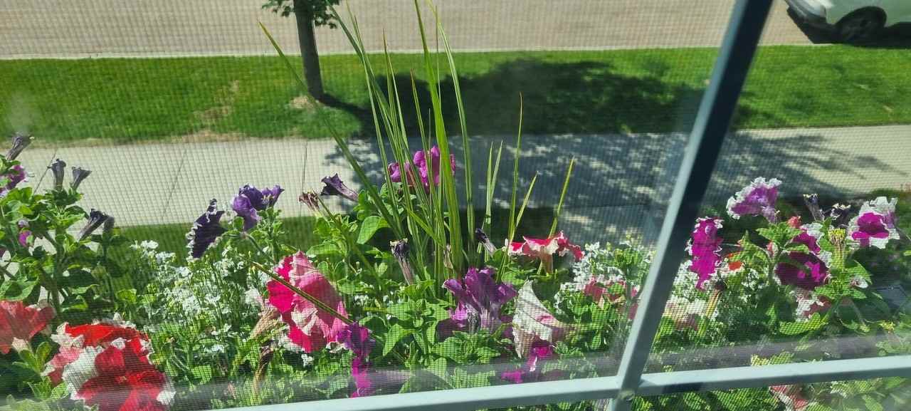479 - 479 Sheppard Blvd - Photo 6 of 31