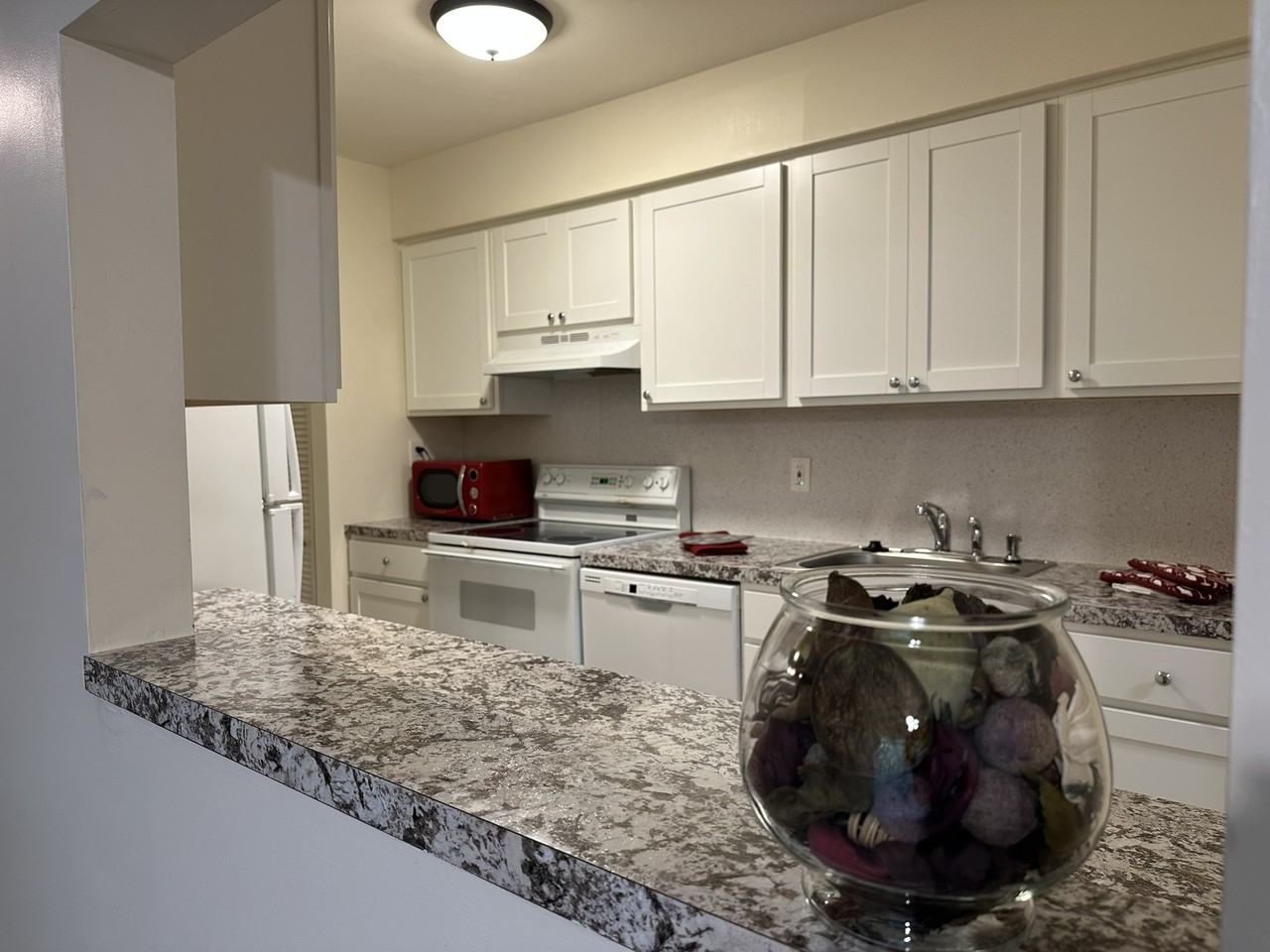 703 Camelback Ct - Photo 4 of 30