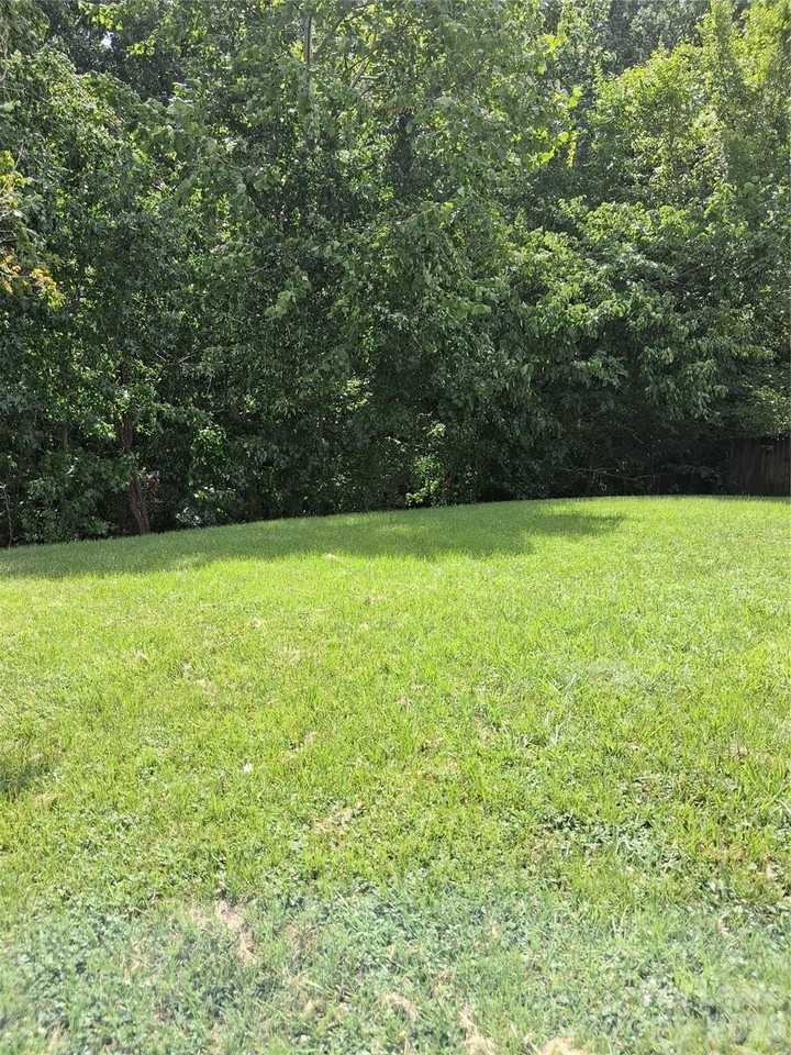 8214 Deodora Cedar Ln - Photo 2 of 21